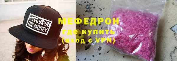 индика Дмитриев