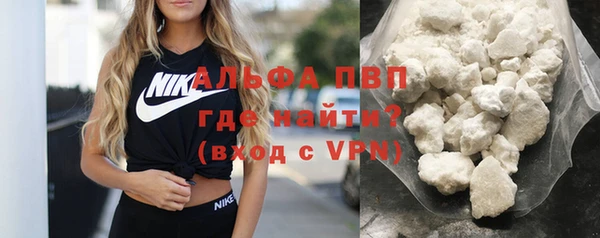 индика Дмитриев