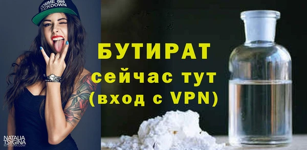 индика Дмитриев