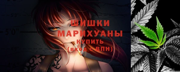 индика Дмитриев