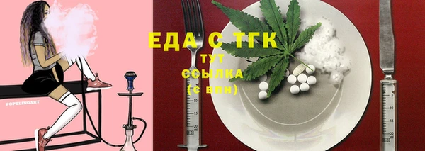 индика Дмитриев