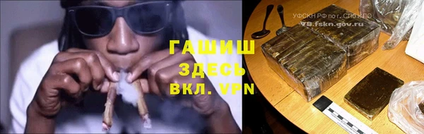 индика Дмитриев