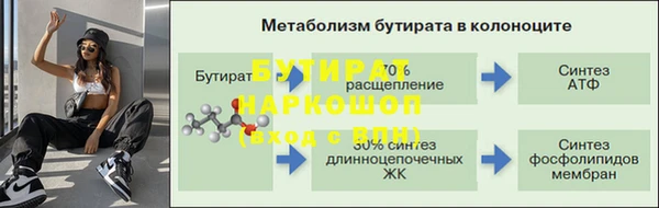 индика Дмитриев