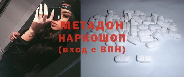 индика Дмитриев