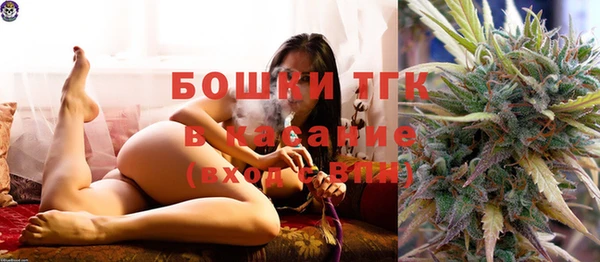 индика Дмитриев