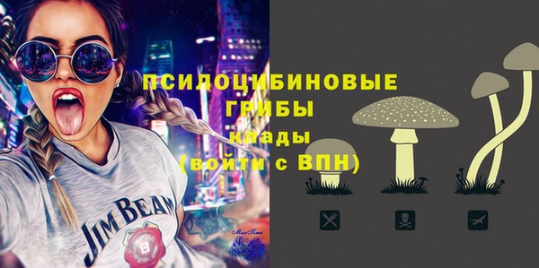 индика Дмитриев