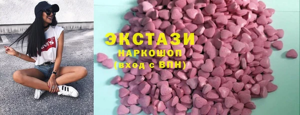 индика Дмитриев