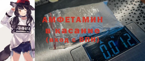 индика Дмитриев