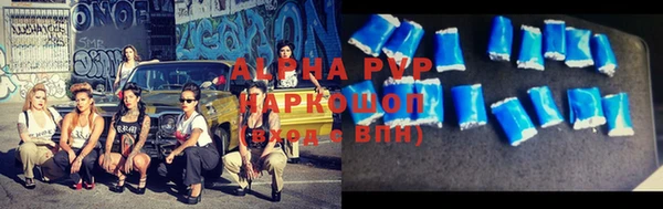 индика Дмитриев