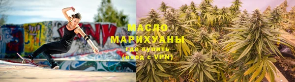 индика Дмитриев